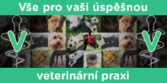 veterinární web